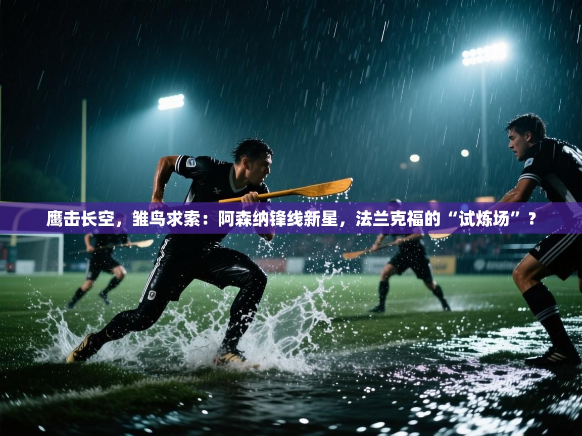 鹰击长空,雏鸟求索:阿森纳锋线新星,法兰克福的“试炼场”? 第1张