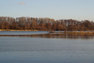 开云体育在线-“东安湖体育公园迎来跑酷明星，挑战全新极限”  第2张